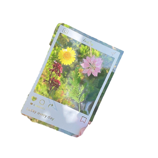瓶子里的春天 童年收集册干花书签手工diy材料包透明植物树叶标本塑封膜粘贴画制作幼儿园小学生儿童创意贴纸
