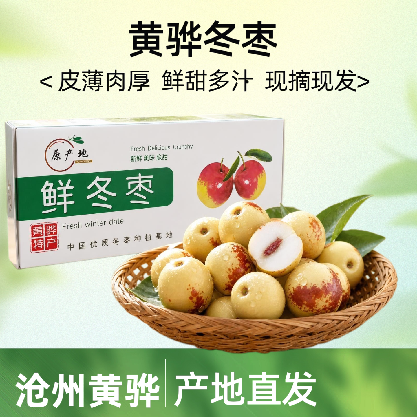 沧州黄骅新鲜冬枣鲜枣脆枣水果当季现摘现发特产清甜多汁5斤整箱