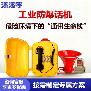 添添呼矿用本安型防爆电话 IP 网络电话机 矿山隧道煤矿石油化工光纤通信分站 化工区紧急扩音呼叫防爆话机