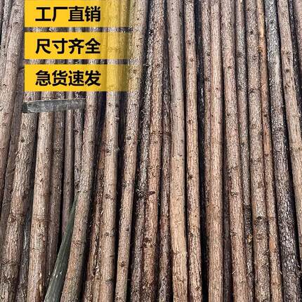 直销天然树木杉木干树段树桩装饰树干杉木杆枯树杆真树干婚庆园林