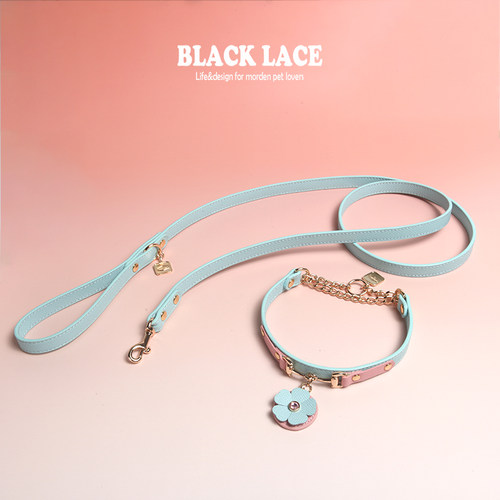 防爆冲宠物项圈P链Blacklace