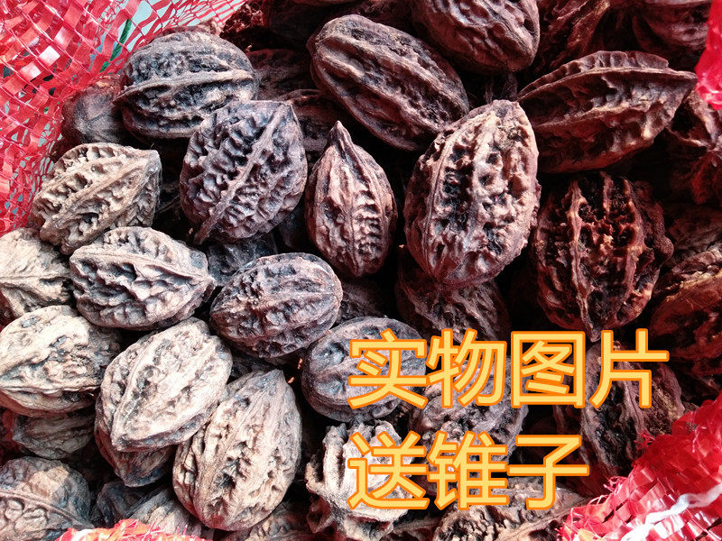 东北野生山核桃 五斤包邮28元 当年新核桃