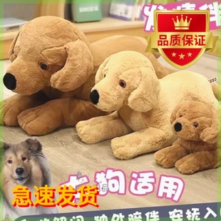 专用小公狗交配玩具狗狗发情期母狗性伴侣宠物小狗泄火发情