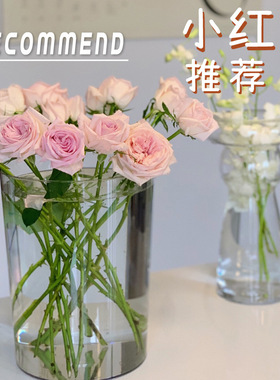 亚克力透明养花桶家用高颜值