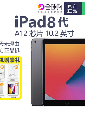 Apple/苹果 ipad pro wifi版 5/6/7代 2020款8代128GB 平板电脑