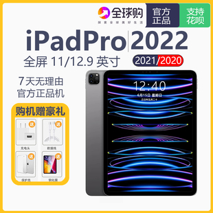 2021 第四代 2020学生平板电脑 苹果11英寸iPadPro2022款 Apple