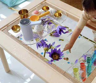 原创福丽萨特桌子定制超大透明感官盆桌面游戏宝宝感官幼儿园