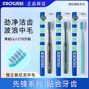 青蛙牙刷127B独立包装 波浪毛大头中毛成人手动清洁袪牙渍去烟渍