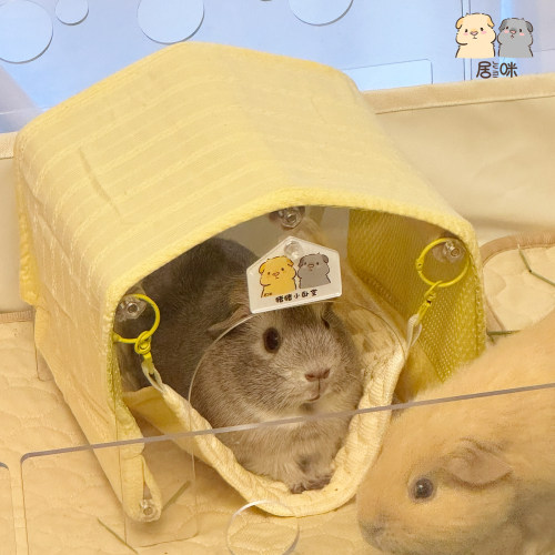 居咪原创荷兰猪夏季冰丝无底屋子