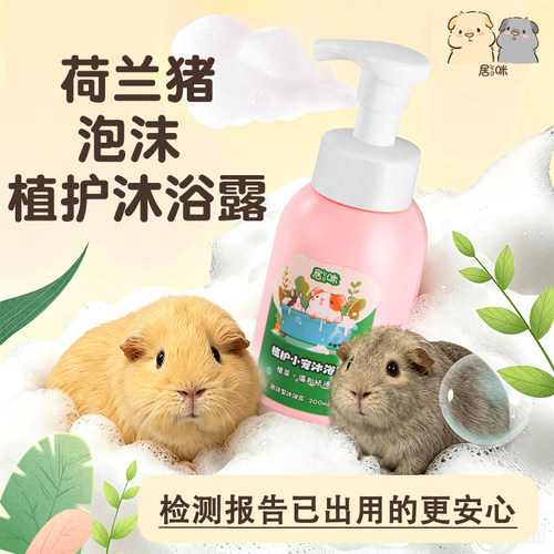豚鼠荷兰猪沐浴露检测已出超安心