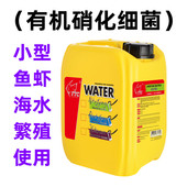 推荐 硝化细菌维他命维生素EM细菌反硝化细菌快净水超浓缩液体胶囊