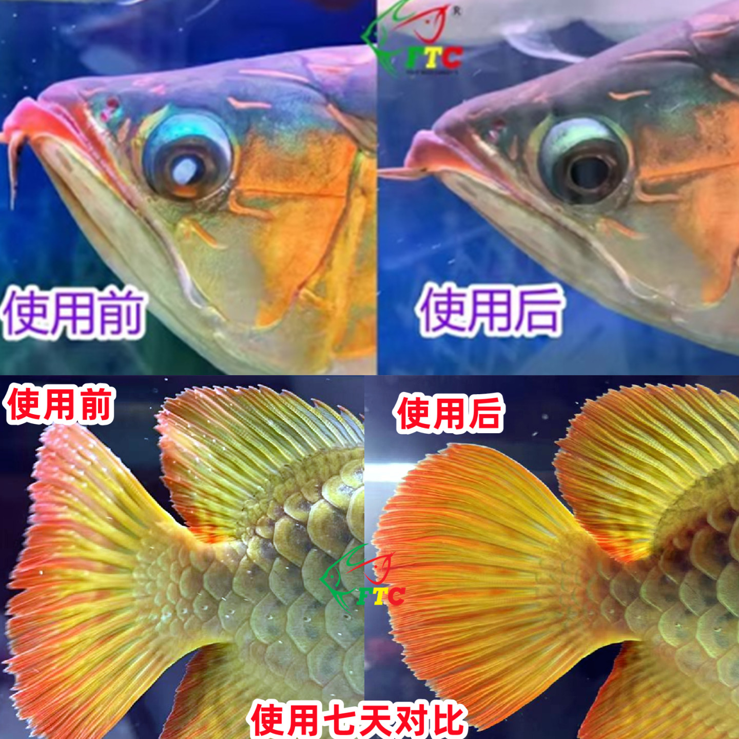 初期外蒙眼恢复套餐观赏鱼宠物龟虎鱼金龙鱼红龙鱼罗汉鱼鹦鹉鱼,宠物/宠物食品及用品,PH调节剂,淘宝优惠券,粉丝福利购,淘宝优惠卷