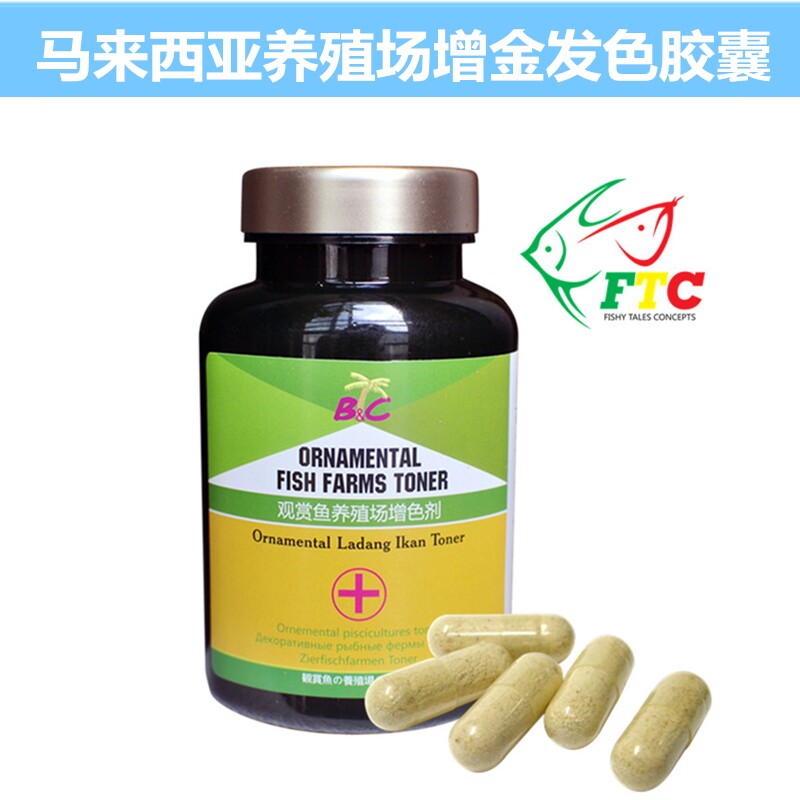 龙鱼发色发金发红绯色植物传统配方马来西亚武吉美拉养殖场泡包邮