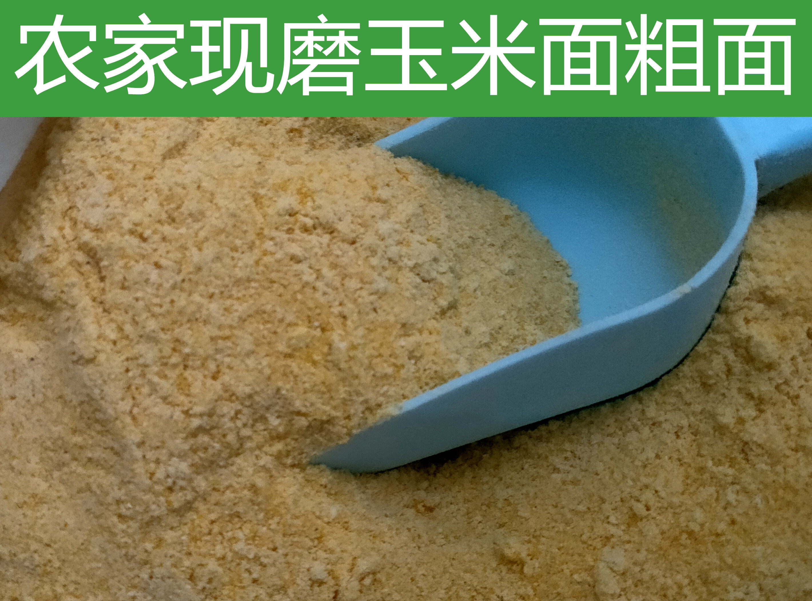 徐州睢宁特产农家粗面杂粮玉米面大熟500克拍5份江浙沪皖包邮