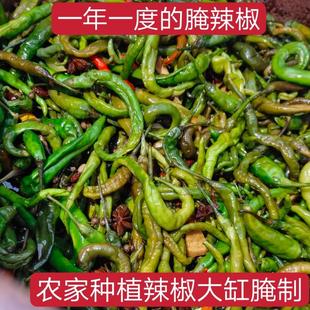 徐州睢宁特产腌辣椒邳州特产安徽特产腌菜350克 包邮