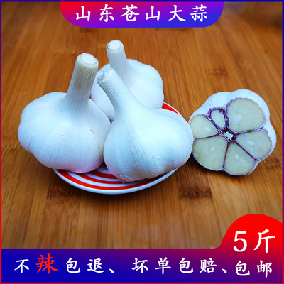 苍山大蒜四六瓣白皮干蒜做蒜种蒜瓣农产山东兰陵大蒜头5斤装包邮