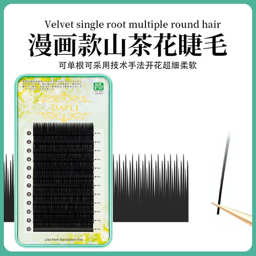 山茶花眼睫毛单根山茶花睫毛