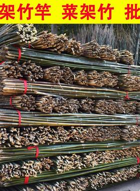 竹竿农用菜园搭架葡萄架蔬菜爬藤豆角番茄黄瓜竹竿篱笆栅栏竹子杆