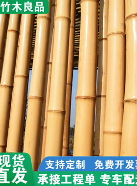 防腐竹竿竹子装饰装修隔断吊顶庭院竹篱笆栅栏围栏墙面黄竹杆竹棍