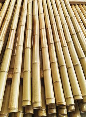 装饰竹竿室内防腐隔断吊顶室外碳化庭院篱笆栅栏搭架黄白竹子旗杆