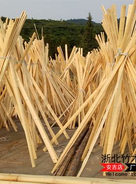 毛竹片竹房屋装修户外园艺碳化隔断墙面装饰篱笆防腐竹板条楠竹片