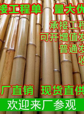 装饰竹竿室内防腐隔断吊顶室外碳化庭院篱笆栅栏搭架黄白竹子旗杆