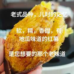 荣成蜂蜜罐地瓜山东威海特产老式地瓜新鲜山芋糖心番薯5斤包邮