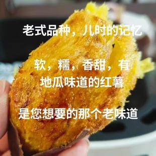 包邮 荣成蜂蜜罐地瓜山东威海特产老式 地瓜新鲜山芋糖心番薯5斤