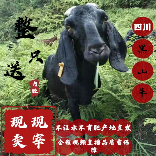 农家散养正宗黑山羊肉新鲜带皮生
