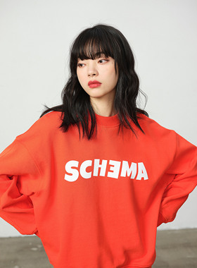 【NSSLAB】重磅全棉毛圈撞色印花潮牌国潮宽松休闲情侣款套头卫衣