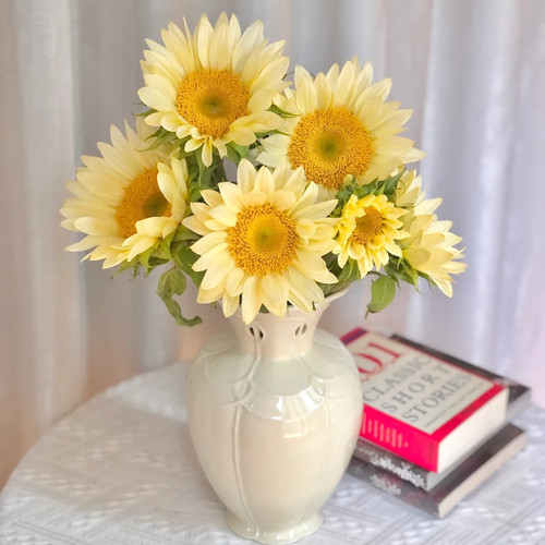 奶油向日葵5支云南新鲜鲜花全店任意2件包邮送货上门