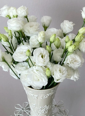 【白色洋桔梗400g】云南新鲜鲜花 全店任意2件包邮送货上门