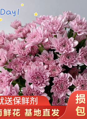 【汉城粉小雏菊10支】云南新鲜鲜花 全店任意两件顺丰京东包邮