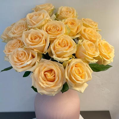 【限量福利】【香槟玫瑰10支】好养云南鲜花全店任意两件送货上门