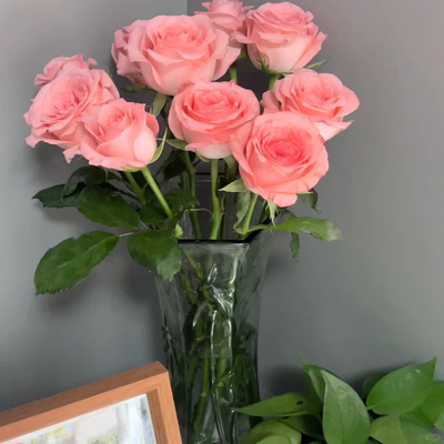 【新粉福利】戴安娜玫瑰云南新鲜鲜花 全店任意两件顺丰京东包邮