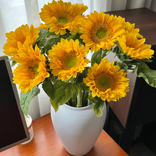 包邮 云南新鲜鲜花全店任意2件 送货上门 迷你绿芯向日葵