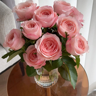 【凯瑟琳玫瑰】稀有小众云南鲜花全店任意两件顺丰包邮