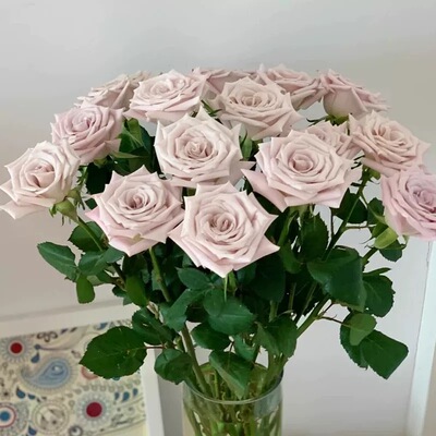 【超值福利】【曼塔玫瑰20支】云南鲜花 全店任意2件顺丰送货上门