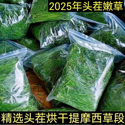 2026年新提摩西草兔兔干草摩西提草龙猫粮草甘肃北提草段兔草包邮