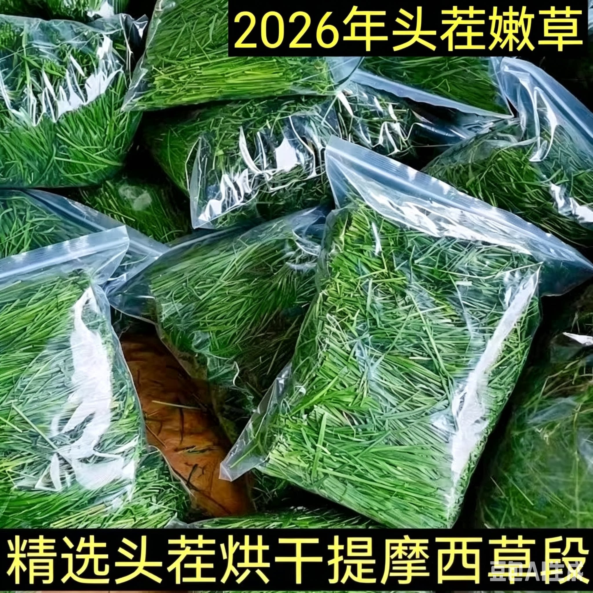26年无穗烘干提摩西草兔兔干草龙猫兔子荷兰猪粮草北提草段兔草