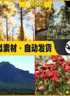 UE4 PLE - Procedural Landscape Ecosystem四季山脉森林树林场景