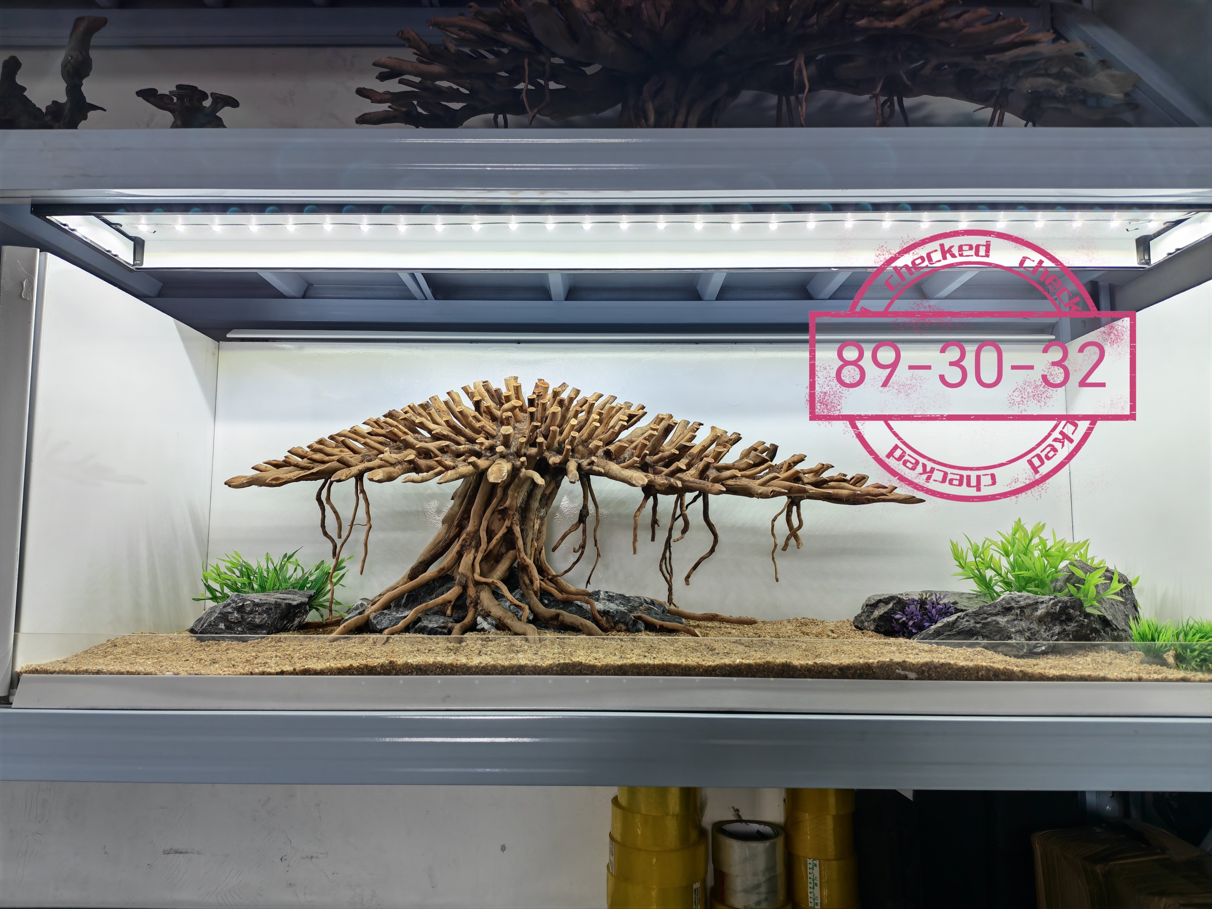 草缸鱼缸造景生命之树辣椒榕树骨造景/装饰