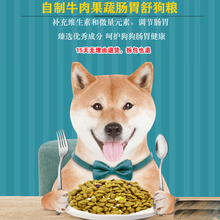 天然果蔬调节肠胃泰迪贵宾自制狗粮1
