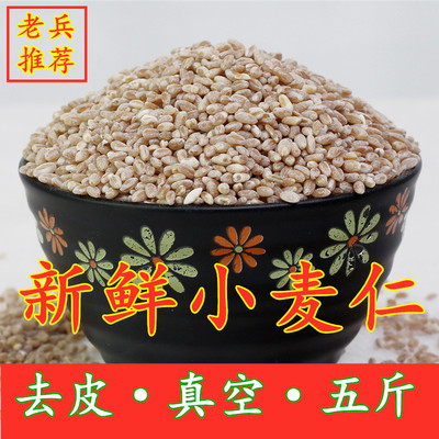25年新红小麦麦仁米老品种