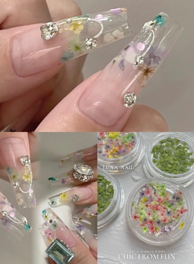 日系blc同款美甲干花混色小水仙彩色花天然春夏糖果押花指甲装饰