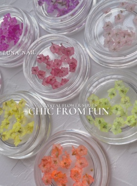 luna新款干花美甲饰品小众花瓣押花立体水晶花diy指甲材料素材品