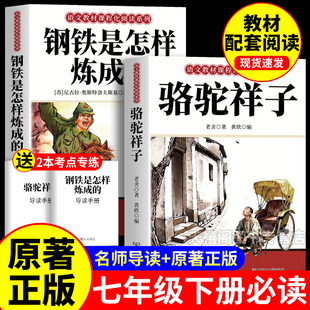 X钢铁是怎样炼成 书七年级下册必读课外书 和骆驼祥子老舍原著正版