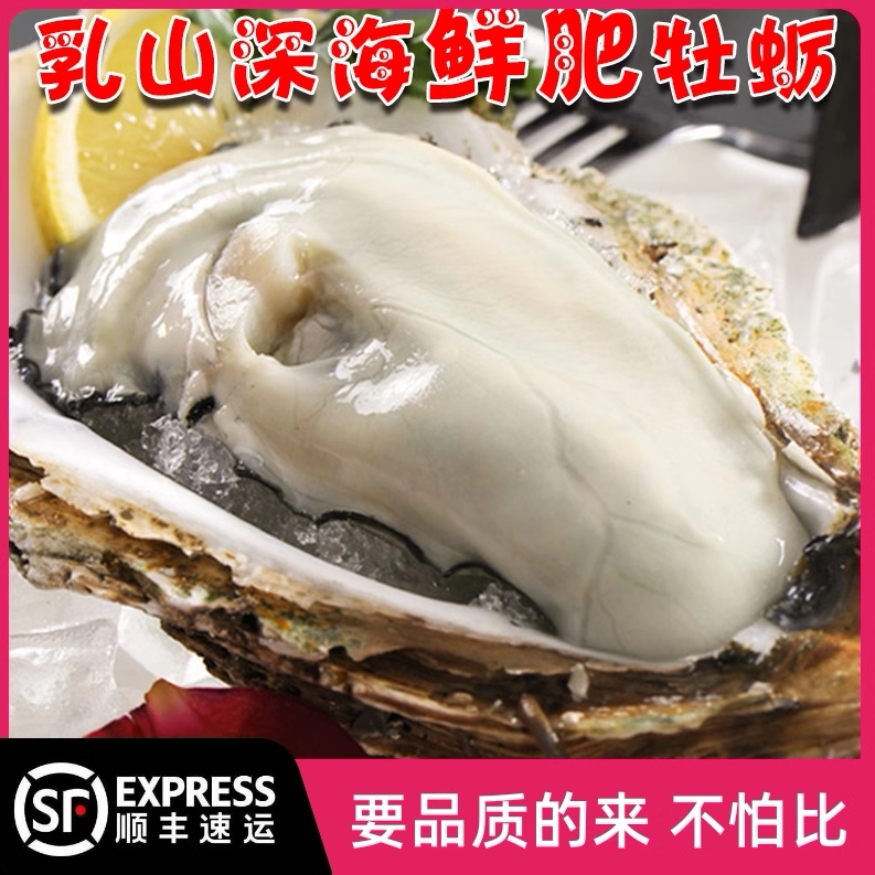 乳山牡蛎海蛎子新鲜贝类大生蚝