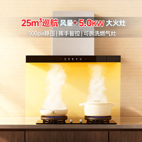 帅康烟灶套装25大吸力5KW大火力
