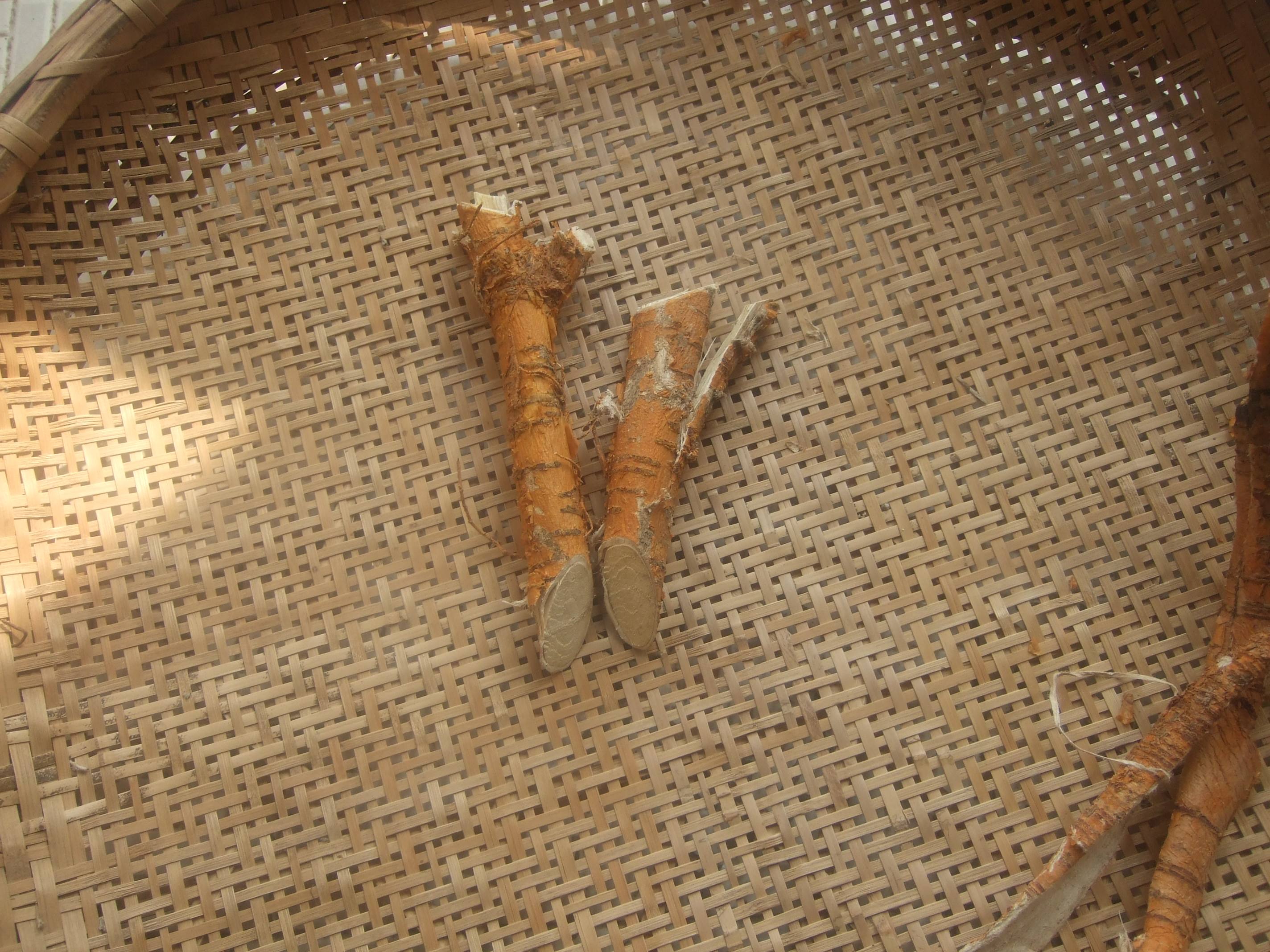 新货野生 桑树根 槡树根 老桑头桑果桑叶根老桑树根 桑葚根 250克